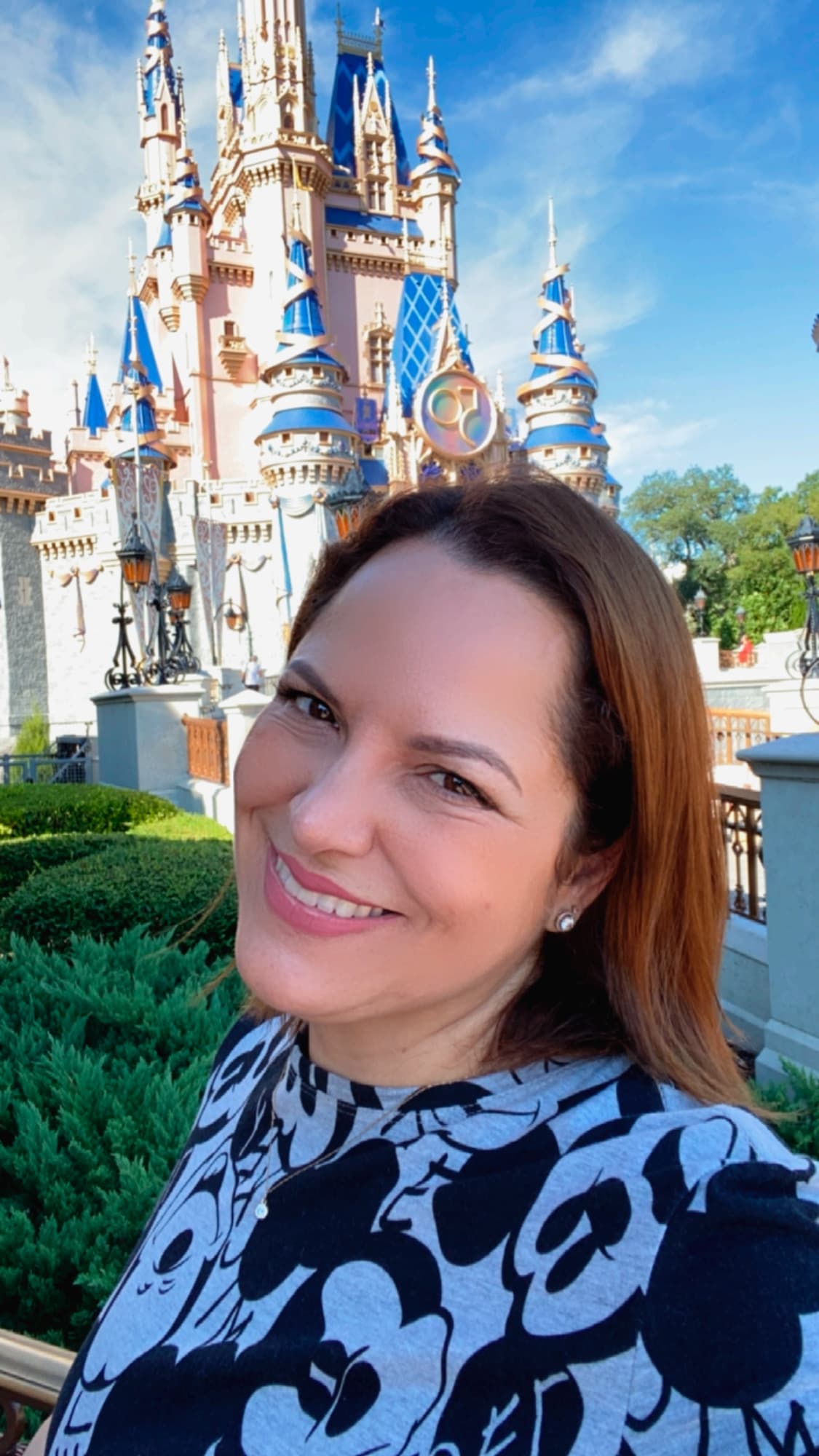santuza disney