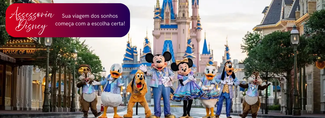 Disney assessoria